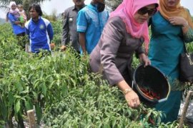 PKK Kampar Kumpulkan Kades Jaring Aspirasi