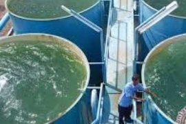 Calon Direktur PDAM Tirta Indragiri Ikuti Profer Test