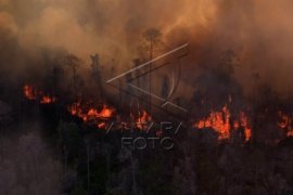 25 Hektare Kawasan Hutan di Sawahlunto Terbakar
