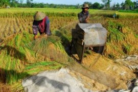 Kementan fokus kembangkan mekanisasi pertanian hingga daerah terluar