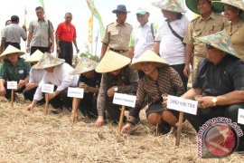 Tabanan Meraih Dua Penghargaan Tingkat Nasional