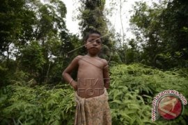 Upaya pemerintah  selamatkan "Orang Rimba" 