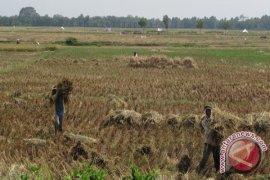 Warga Way Dadi Bandarlampung mengadu ke DPD