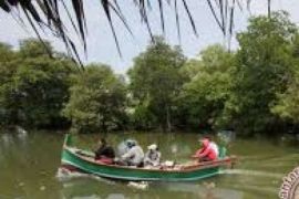 Sentra "Magrove" Riau Tumbuhkan Ekonomi Maritim