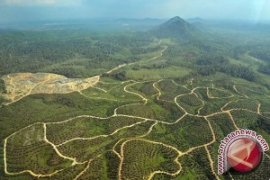 Luas Taman Nasional Bukit Duabelas Jambi berkurang