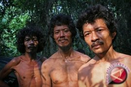 Sebanyak 1.787 Orang Rimba masuk DPT Batanghari 