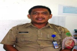 Harga Ikan Laut di Penajam Melonjak  