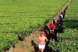 Komunitas "LibuRun" Pekanbaru Budayakan Lari Lintas Alam