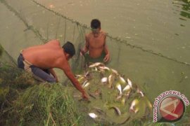 HSU  Sukses Kembangkan Kawasan Minapolitan