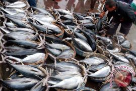 Nelayan Cilacap Segera Masuki Musim Panen ikan