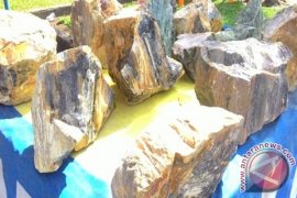 Batu Sungkai Merangin ramaikan pameran batu akik