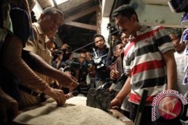 Jawa Barat Waspadai Beras Sintetis
