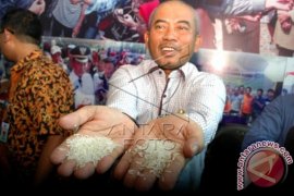 Hasil Uji Laboratorium Beras Sintetis