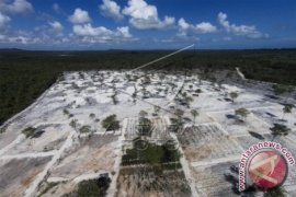 Botanical Garden Belitung