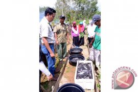 Advertorial - Ponpes Dan Adaro  Kembangkan Usaha Perikanan Di Jaro