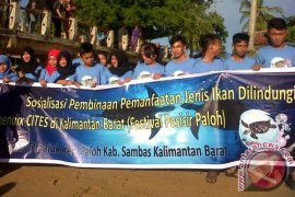 Festival Pesisir Paloh 2015 Digelar