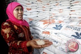 Penyaluran Raskin September-Desember Dipercepat