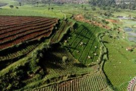 Hutan Di Indonesia Banyak Yang Sudah Beralih Fungsi