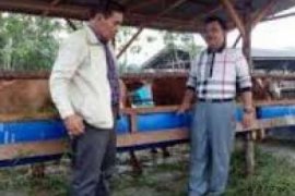 Program Kemandirian Pangan Dan Energi Kampar Mampu Redam Gejolak Ekonomi