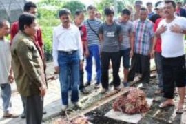 Kampar Pemenang Indonesia Attractiveness Index