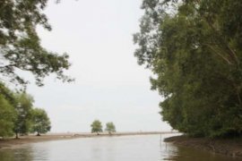 Indragiri Hilir Jadikan Pulau Basu Kawasan Konservasi