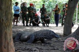 Tim Jalani Ekspedisi NKRI Tanpa Masalah Kesehatan