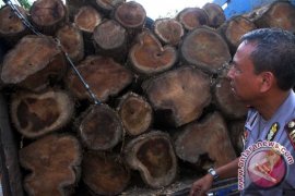 Polisi Amankan Sembilan Gelondong Kayu Jati Ilegal