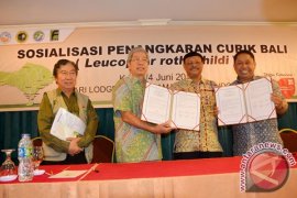 'Curik' Bali Bisa Jadi Model Keberhasilan Konservasi 