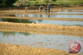 Program CSR PT. Garam