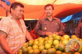 WALI KOTA SOLOK MELAKSANAKAN SIDAK DI PASAR RAYA SOLOK Page 2 Small