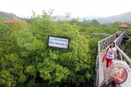 Pokmaswas Mulai Batasi Kunjungan Wisata Konservasi Mangrove