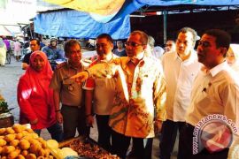Mentan sidak harga sembako di Pasar Terong 