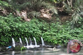 WWF perkuat pengelola HKm Sesaot melalui "ForCES"