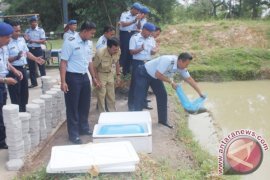 Lanud Tabur 5000 Benih Ikan