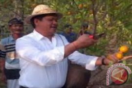 Wagub Sudikerta Tinjau Kesepakatan Perdamaian Di GWK