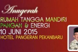 Anugerah RTMPE Juga Pamerkan Batu Akik Khas Riau