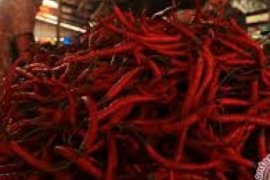  Cabai Rawit Tembus Rp40.000 Per Kg Sepekan Ramadan