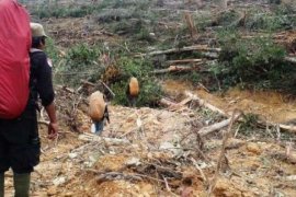 Hutan Lindung Bukit Betabuh Terancam Habis Dibabat