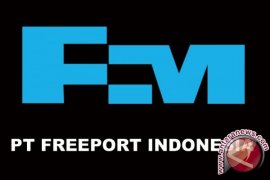 Dudes AS Dukung Divestasi Saham Freeport