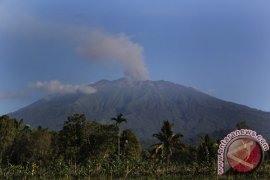 Gempa Tremor Gunung Raung Terus Meningkat