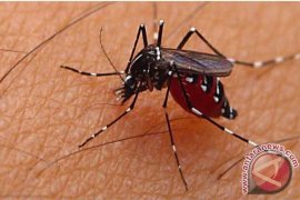 Dinkes Agam Turunkan Tim Periksa Jentik Nyamuk