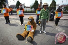 "Orangufriends" Page 1 Small