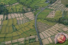 26.153 hektare sawah di Cilacap dan Ciamis terancam kekeringan