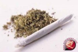 435 gram ganja disita di pedesaan Kabupaten Banjar