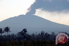 Bandara Notohadinegoro Jember Diguyur Hujan Abu Raung