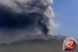 Tinggi asap solfatara di Gunung Raung 1.500 meter 