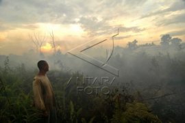 BMKG : 478 Hotspot Terdeteksi di Kalbar