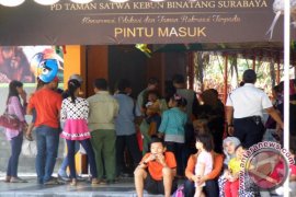 Antrean Tiket Wisata KBS