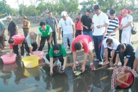 Bupati Jembrana Seru Pengusaha Bantu Konservasi Penyu