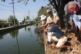 FKH LEPASLIARKAN BIBIT BETOK